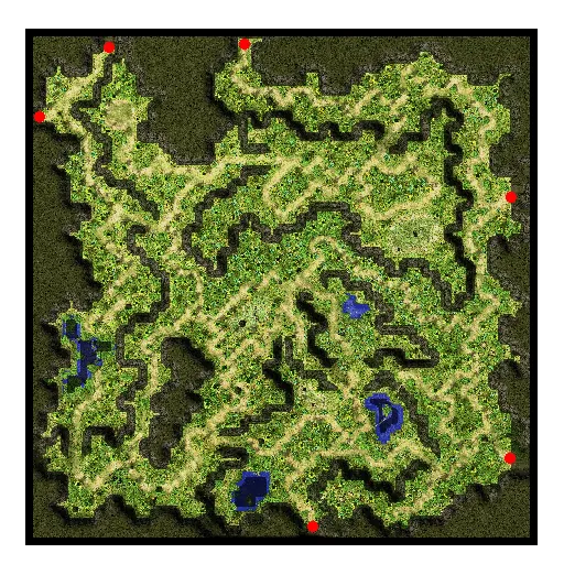 Papuchicha Forest