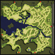 Prontera Field