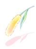 C Foxtail