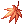 C Maple Which Falls