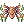C Wing of Spider