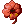 Cursed Lucky Clover