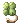 Four Leaf Clover
