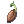 Germinating Sprout