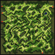 Prontera Field