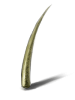 Pointed Scale