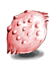 Crab Shell