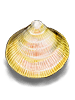 Clam Shell