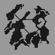 ein_fild02