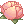 Charming Lotus
