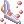 Illusion Huuma Wing Shuriken
