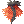 Fire Dragon Manteau