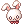 C Giant White Rabbit