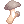 Edible Mushroom