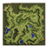Papuchicha Forest