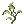Poison Herb Seratum
