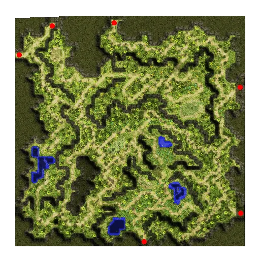 Papuchicha Forest