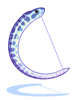 Spotty Eel