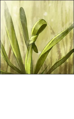 ep13_plant01