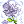 Power of Flora Fatalis