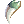 龙牙