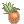 菠萝