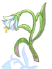 幻想花