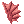 背鰭