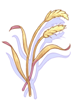 Grain