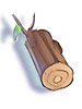 天地樹枝