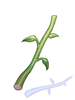 植物梗