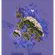 蜜月島爪哇