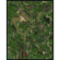 Archer Village